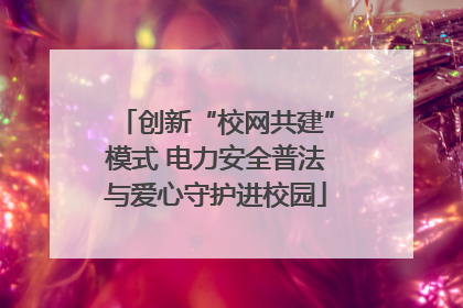 创新“校网共建”模式 电力安全普法与爱心守护进校园