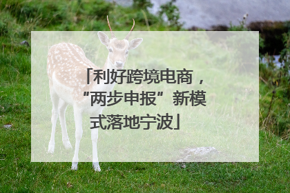 利好跨境电商，“两步申报”新模式落地宁波