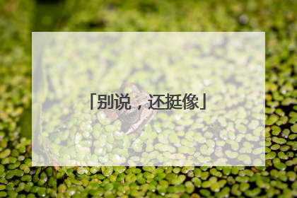 别说，还挺像