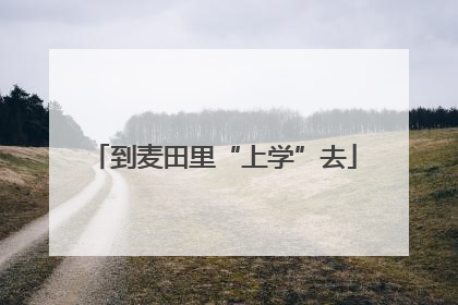 到麦田里“上学”去