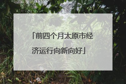 前四个月太原市经济运行向新向好