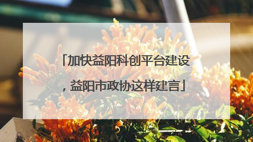 加快益阳科创平台建设，益阳市政协这样建言