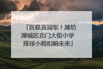 区联赛冠军!潍坊潍城区北门大街小学排球小将扣响未来