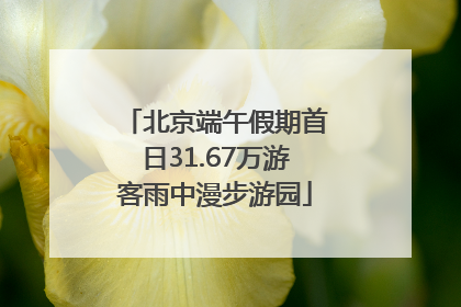 北京端午假期首日31.67万游客雨中漫步游园