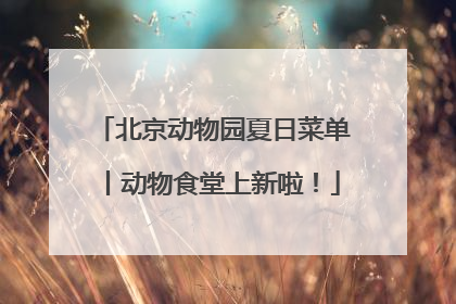 北京动物园夏日菜单丨动物食堂上新啦！