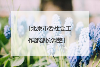 北京市委社会工作部部长调整