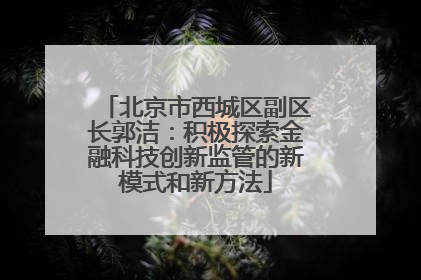 北京市西城区副区长郭洁：积极探索金融科技创新监管的新模式和新方法
