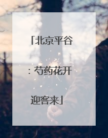 北京平谷：芍药花开迎客来