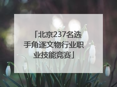 北京237名选手角逐文物行业职业技能竞赛