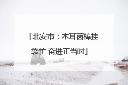 北安市：木耳菌棒挂袋忙 奋进正当时