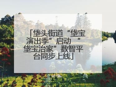 垡头街道“垡宝演出季”启动 “垡宝治家”数智平台同步上线