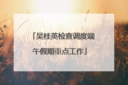 吴桂英检查调度端午假期重点工作