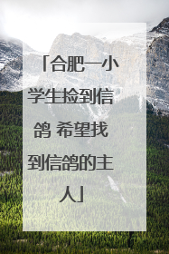 合肥一小学生捡到信鸽 希望找到信鸽的主人