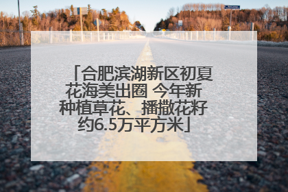 合肥滨湖新区初夏花海美出圈 今年新种植草花、播撒花籽约6.5万平方米