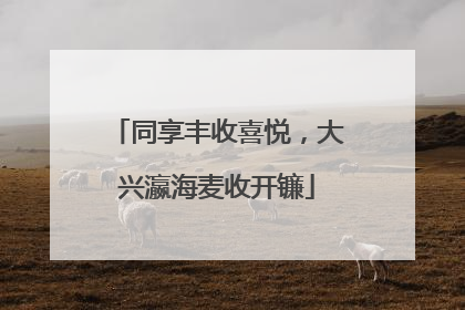 同享丰收喜悦，大兴瀛海麦收开镰
