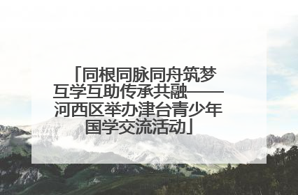 同根同脉同舟筑梦 互学互助传承共融——河西区举办津台青少年国学交流活动