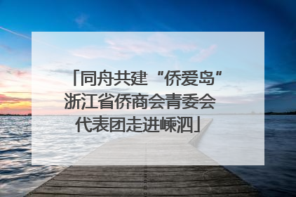 同舟共建“侨爱岛” 浙江省侨商会青委会代表团走进嵊泗