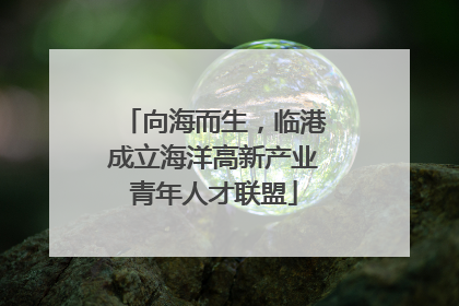 向海而生，临港成立海洋高新产业青年人才联盟