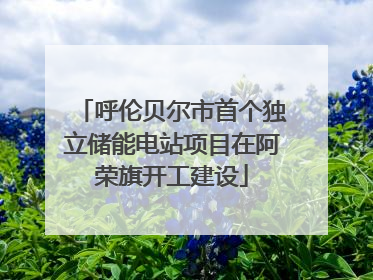 呼伦贝尔市首个独立储能电站项目在阿荣旗开工建设