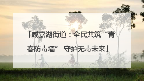 咸嘉湖街道：全民共筑“青春防毒墙” 守护无毒未来