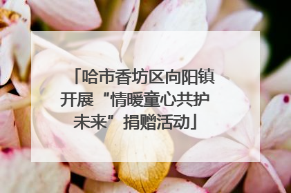 哈市香坊区向阳镇开展“情暖童心共护未来”捐赠活动