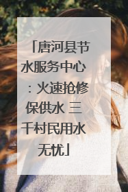 唐河县节水服务中心：火速抢修保供水 三千村民用水无忧