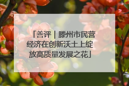 善评｜滕州市民营经济在创新沃土上绽放高质量发展之花