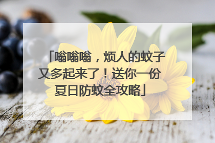 嗡嗡嗡，烦人的蚊子又多起来了！送你一份夏日防蚊全攻略