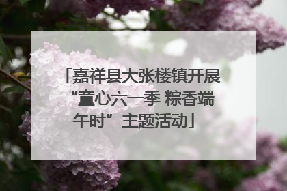 嘉祥县大张楼镇开展“童心六一季 粽香端午时”主题活动