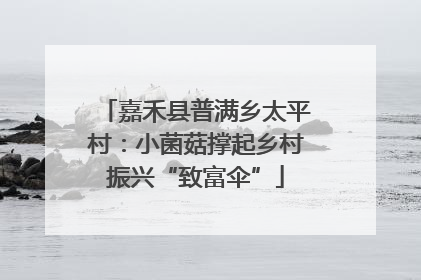 嘉禾县普满乡太平村：小菌菇撑起乡村振兴“致富伞”