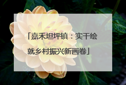 嘉禾坦坪镇：实干绘就乡村振兴新画卷