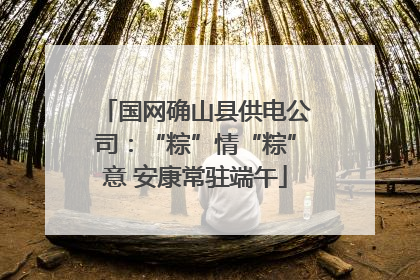 国网确山县供电公司：“粽”情“粽”意 安康常驻端午