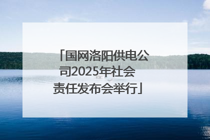 国网洛阳供电公司2025年社会责任发布会举行