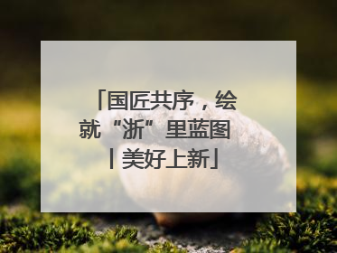 国匠共序，绘就“浙”里蓝图丨美好上新