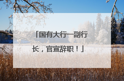国有大行一副行长，官宣辞职！