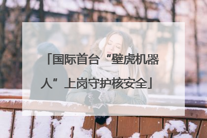 国际首台“壁虎机器人”上岗守护核安全