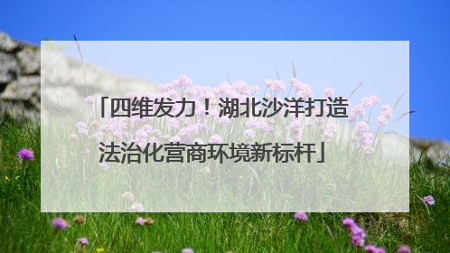 四维发力！湖北沙洋打造法治化营商环境新标杆