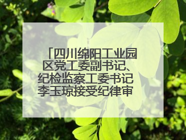 四川绵阳工业园区党工委副书记、纪检监察工委书记李玉琼接受纪律审查和监察调查