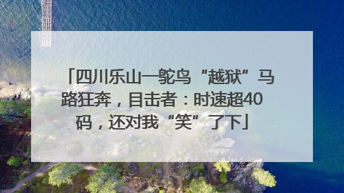 四川乐山一鸵鸟“越狱”马路狂奔，目击者：时速超40码，还对我“笑”了下