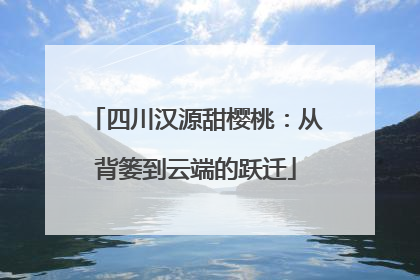 四川汉源甜樱桃：从背篓到云端的跃迁