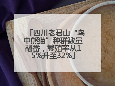 四川老君山“鸟中熊猫”种群数量翻番，繁殖率从15%升至32%