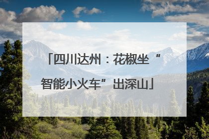 四川达州：花椒坐“智能小火车”出深山