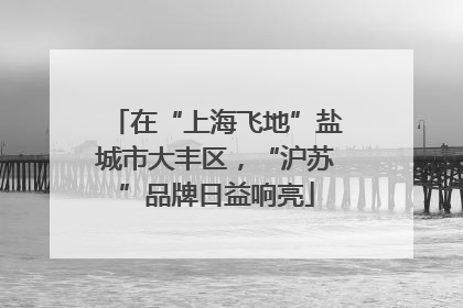 在“上海飞地”盐城市大丰区，“沪苏”品牌日益响亮