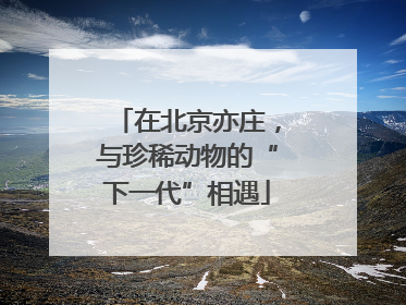 在北京亦庄，与珍稀动物的“下一代”相遇