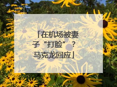 在机场被妻子“打脸”？马克龙回应