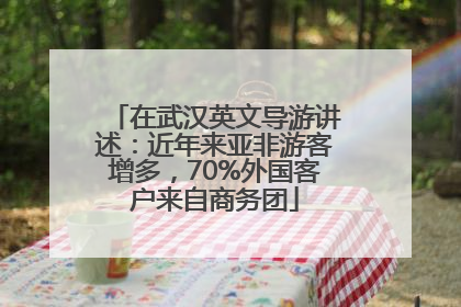 在武汉英文导游讲述：近年来亚非游客增多，70%外国客户来自商务团
