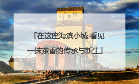 在这座海滨小城 看见一抹茶香的传承与新生