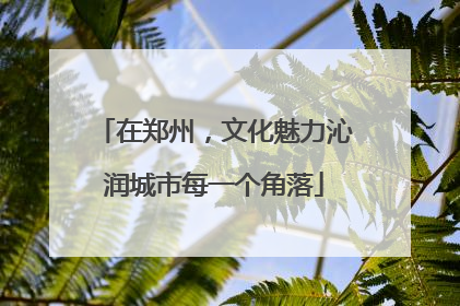 在郑州，文化魅力沁润城市每一个角落