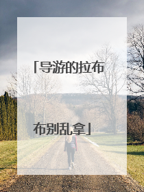 导游的拉布布别乱拿