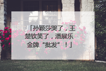 孙颖莎哭了，王楚钦笑了，潘展乐金牌“批发”！